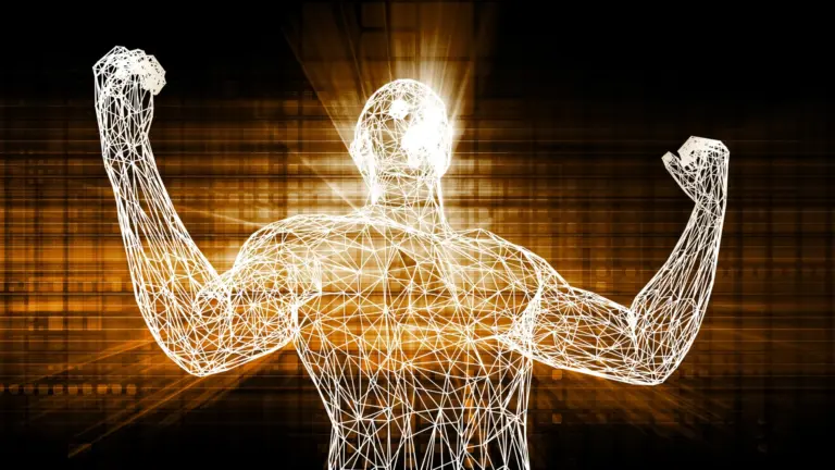 Des chercheurs identifient un composé capable d’améliorer la réparation musculaire liée au vieillissement.