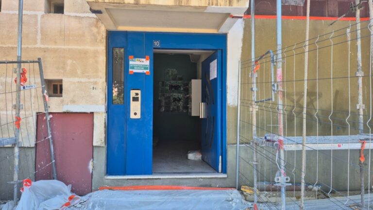 Invasion de rats : une famille de Griffeuille alerte sur les nuisibles à Arles.