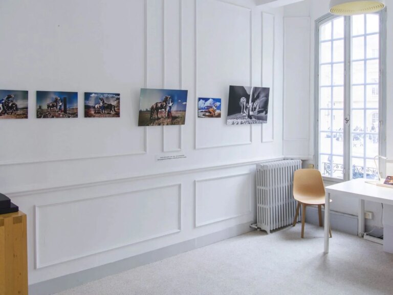 Cinq galeries d’art à découvrir à Arles lors des Rencontres de la photographie