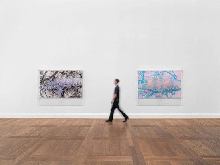 Cinq expositions gratuites dans des galeries parisiennes cet été à découvrir.