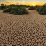 Assureurs appelés à renforcer la prévention face aux risques climatiques croissants.