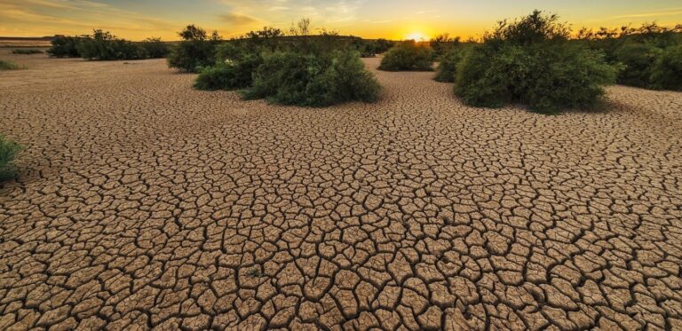Assureurs appelés à renforcer la prévention face aux risques climatiques croissants.