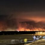 Incendies en Gironde : écart significatif entre pertes réelles et pertes assurées
