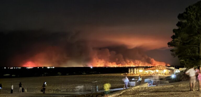 Incendies en Gironde : écart significatif entre pertes réelles et pertes assurées