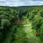 Sanctuaire de Sequana : l&rsquo;archéologie révèle des artefacts du passé historique français.
