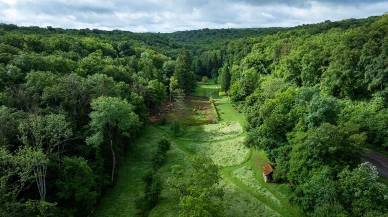 Sanctuaire de Sequana : l’archéologie révèle des artefacts du passé historique français.