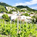 Balades dans le Var : 21 nouveaux lieux à Rayol-Canadel et Sainte-Maxime récompensés.