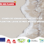 Tournée des plages : exploration des écosystèmes marins et de leurs habitants.