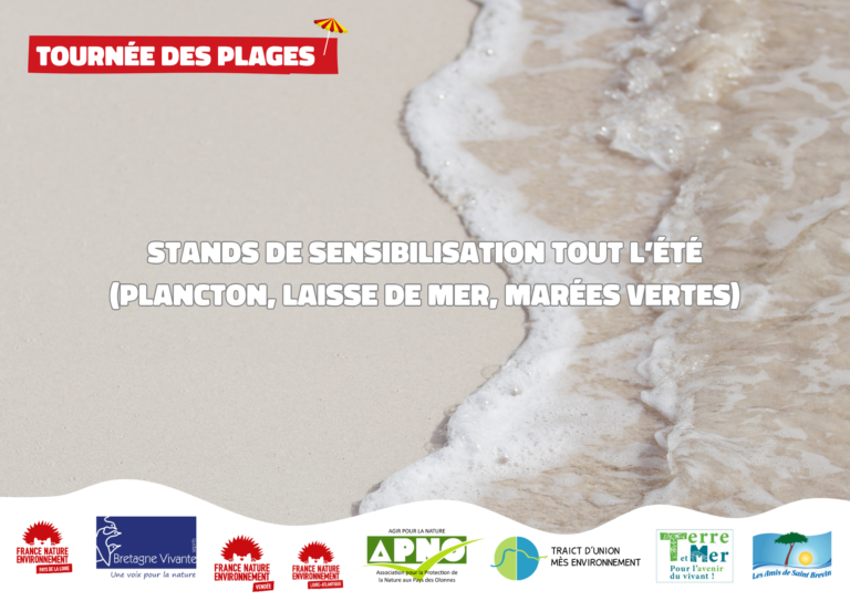 Tournée des plages : exploration des écosystèmes marins et de leurs habitants.