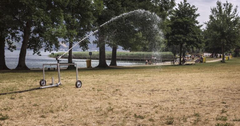 Sécheresse en Suisse : nécessité d’une gestion renouvelée des ressources en eau