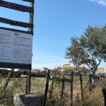Un terrain à l’abandon transformé en nouveau quartier à l’est de Marseille : images à découvrir.