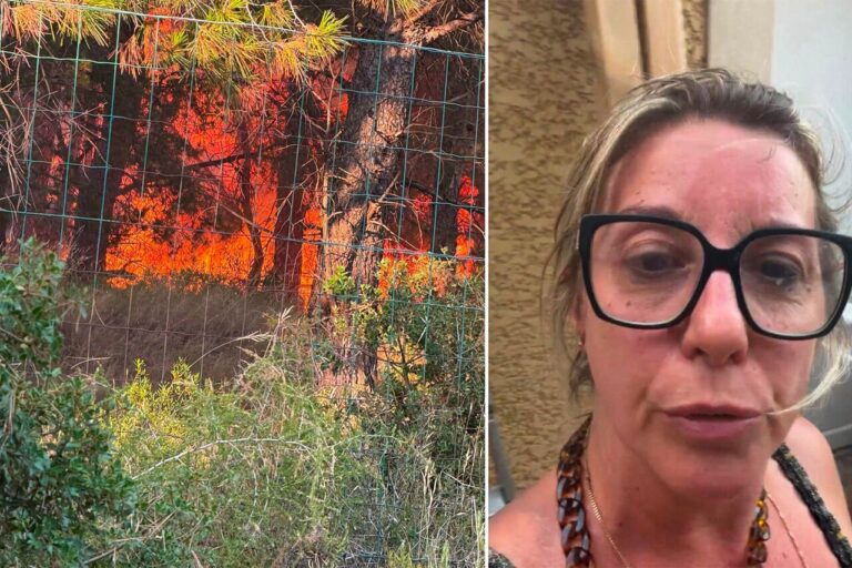 Incendies dans les Bouches-du-Rhône : des flammes atteignant 15 mètres menacent les habitations.
