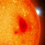 Découverte de quatre naines blanches cachées à proximité de la Terre par des astronomes.