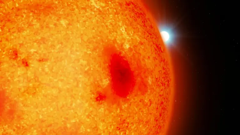 Découverte de quatre naines blanches cachées à proximité de la Terre par des astronomes.