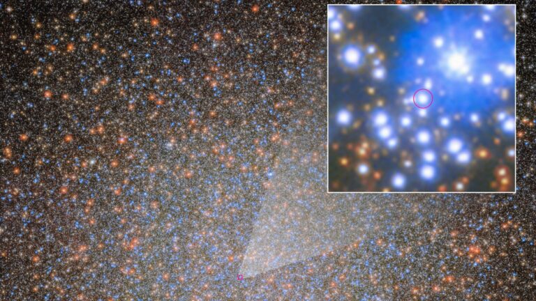 Découverte d’un des 10 000 trous noirs manquants dans le groupe d’étoiles Omega Centauri.