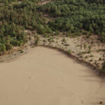 Mauritanie : trois tonnes de graines dispersées lors d’une campagne de semis aériens.