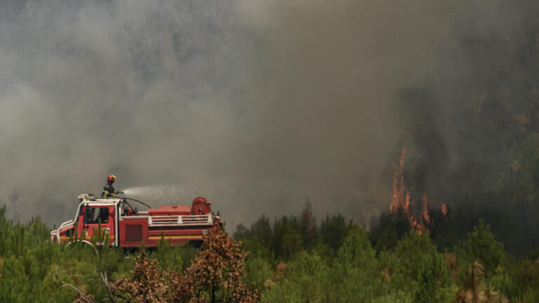 Incendies en France : Analyse des responsabilités politiques face aux crises environnementales