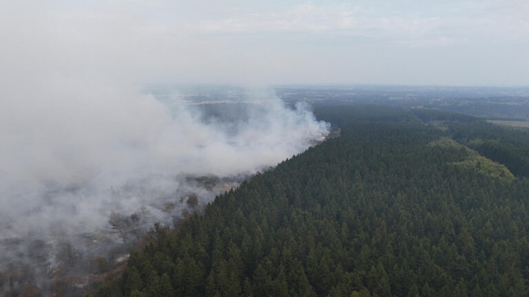 Feu de forêt en Belgique : 3 000 hectares ravagés par un incendie majeur