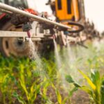 Pesticides : des sociétés savantes saisissent le Conseil constitutionnel contre la loi agricole d&rsquo;urgence.