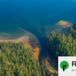 Trump propose d’abroger une loi protégeant les forêts vierges de l’exploitation forestière.