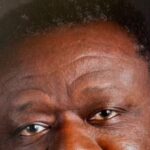 Festival International du Livre et des Arts africains : la Suisse met en avant la culture africaine.