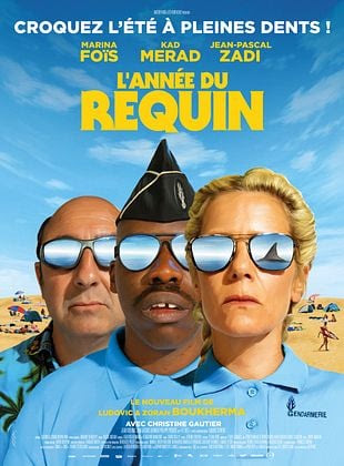 L’année du requin : Zoran et Ludovic Boukherma explorent les enjeux de la biodiversité marine