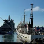 Trois Français anti-chasse à la baleine arrêtés en Islande, menacés d&rsquo;expulsion.