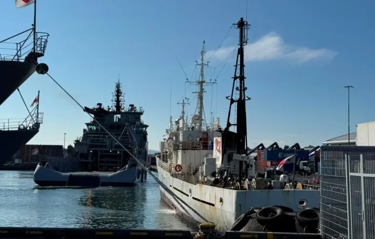 Trois Français anti-chasse à la baleine arrêtés en Islande, menacés d’expulsion.