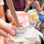 Canicule : Les glaciers de Paris, Lyon et Toulouse confrontés à des températures élevées.