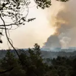 Incendie en forêt de Fontainebleau : le feu est officiellement éteint après un mois et demi.