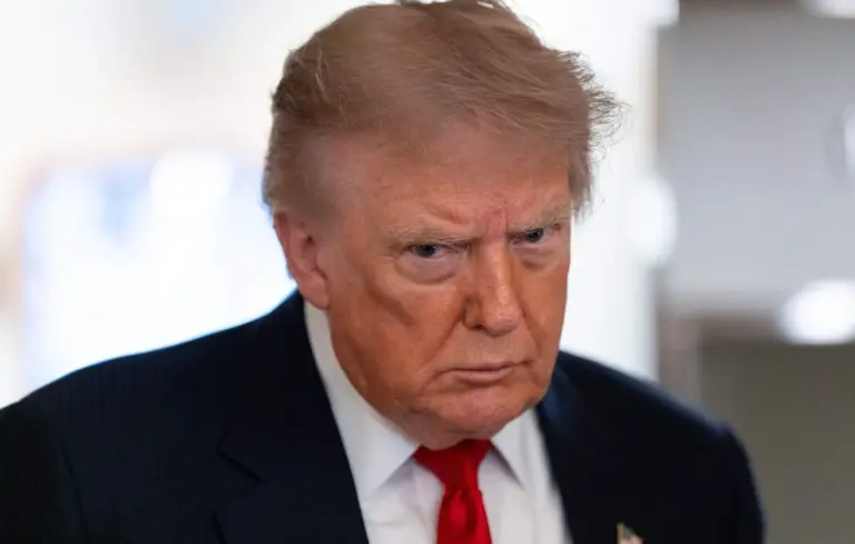 25 États américains contestent les droits de douane imposés par Donald Trump en justice.