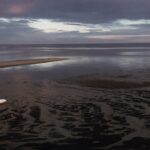 Joel Meyerowitz, photographe américain, révèle l&rsquo;évolution de la photographie contemporaine.