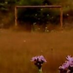 Dry Leaf, L&rsquo;Odyssée : un film d&rsquo;animation explorant les défis environnementaux contemporains