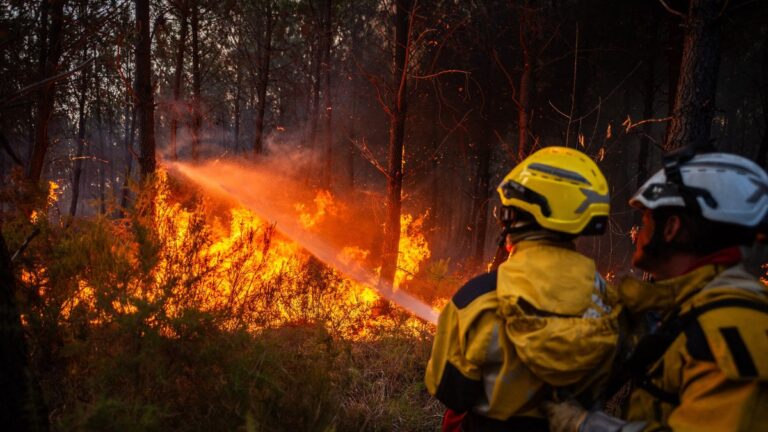 Incendies dans le Var : 1000 hectares brûlés, 2500 personnes évacuées.