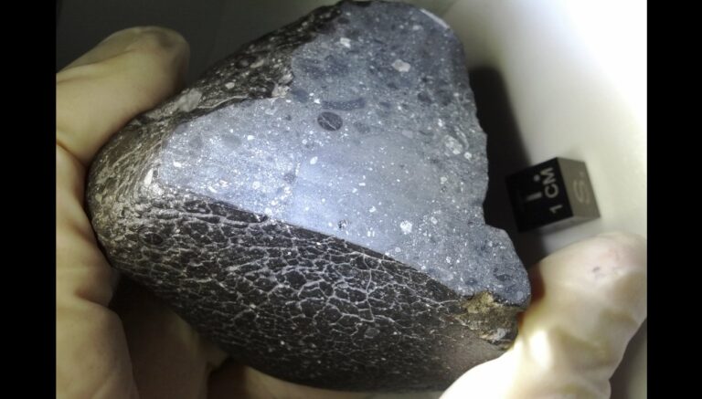 Identification du site d’origine de la météorite martienne « Black Beauty » par des chercheurs.