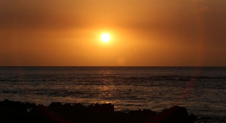 El Niño : l’Organisation météorologique mondiale alerte sur des conditions climatiques extrêmes.