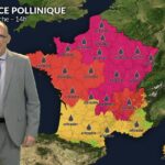 Canicule et orages : risque d&rsquo;asthme pollinique élevé dans l&rsquo;Est avec chêne et urticacées