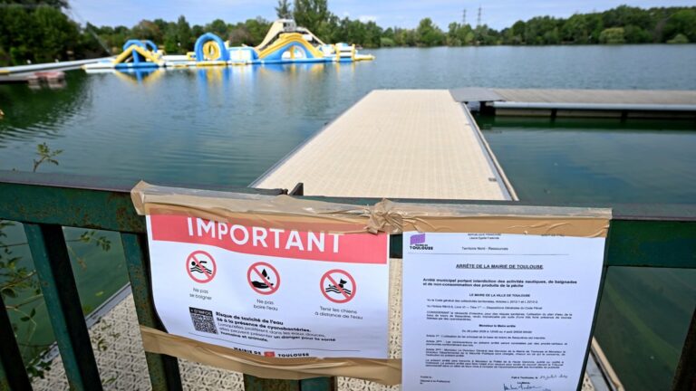 Contamination par des cyanobactéries de l’eau du lac de Sesquières menace la santé des animaux.