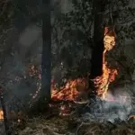 Incendies en Gironde : des panneaux solaires alimentent une théorie du complot.