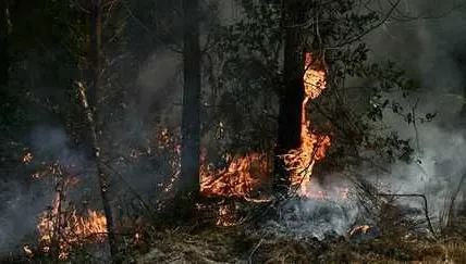 Incendies en Gironde : des panneaux solaires alimentent une théorie du complot.