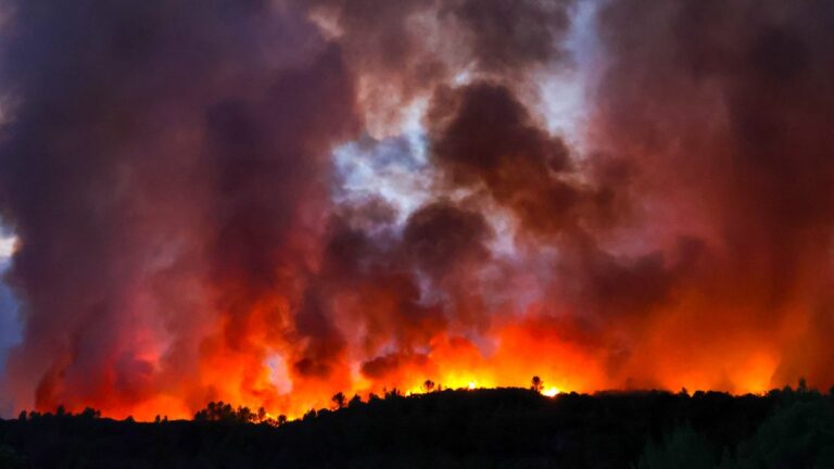 Incendies en France : neuf départements en alerte pour risque élevé de feu ce dimanche