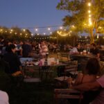 Domaine viticole autour de Montpellier : soirées animées entre dégustation et fête