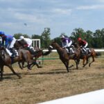 L’hippodrome du Lot accueille des courses hippiques traditionnelles attirant un public fidèle.