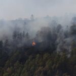 Incendies à Carcassonne : 100 évacuations et 280 pompiers mobilisés face aux conditions climatiques difficiles.