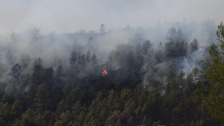 Incendies à Carcassonne : 100 évacuations et 280 pompiers mobilisés face aux conditions climatiques difficiles.