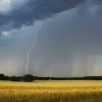 Canicule pour 20 départements du Sud-Est, orages et grêle attendus au centre et Sud-Ouest