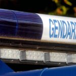 Dix chiens retrouvés morts chez une comportementaliste canin à Jonquières.