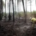 Incendies en augmentation, les candidats à la présidentielle peinent à répondre aux enjeux.