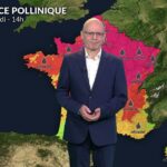 Risque allergique accru en raison de la persistance des pollens estivaux demain.