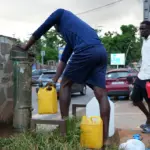 Mayotte : la justice suspend la construction d&rsquo;une usine de dessalement menaçant la mangrove.